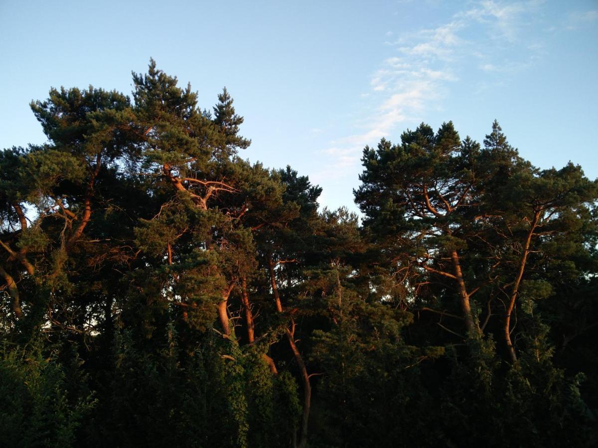 Ferienwohnung Am Kuestenwald Trassenheide Esterno foto